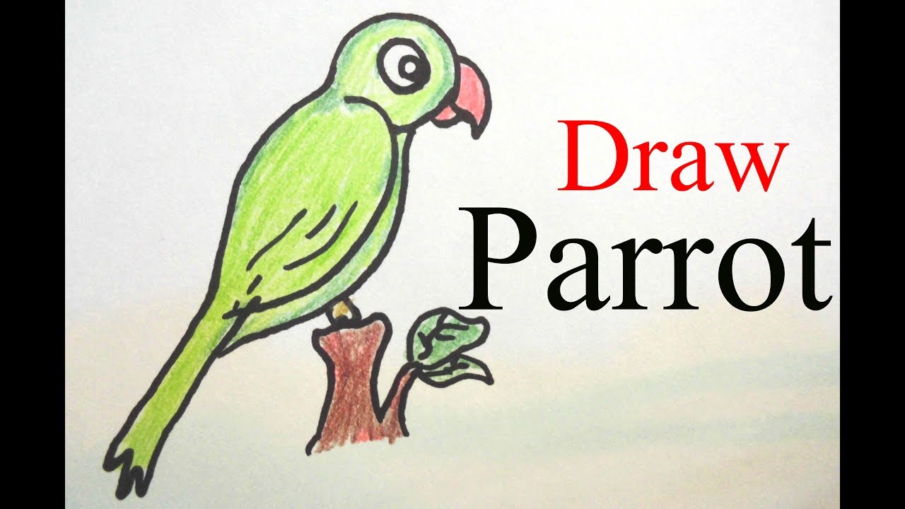 Easy Parrot Drawing Step 2