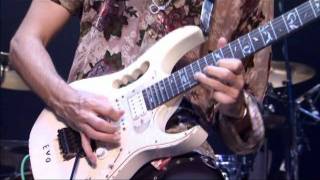 Steve Vai - (2009) Tender Surrender [from "Where the Wild Things?"]