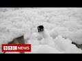 New video by BBC News on YouTube