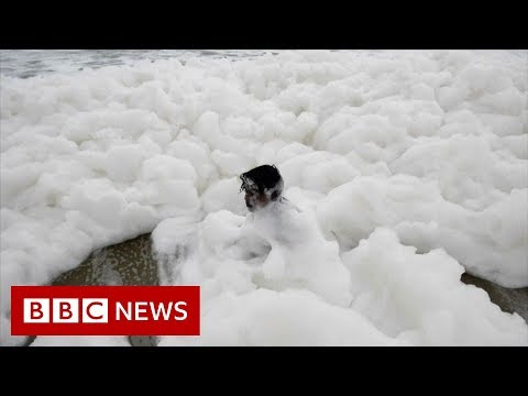 'Toxic' foam blankets Indian beach  – BBC News