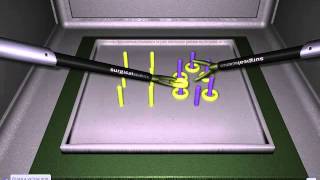 LAPSIM Peg Transfer a