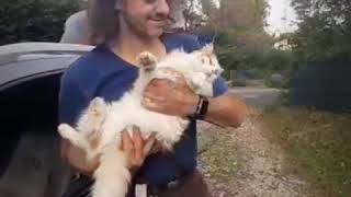 A Propos Site De Turcdevan