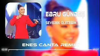 Bin Kere Gelsem Dünyaya - Ebru Gündeş Remix 2023 Resimi