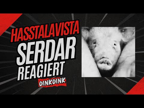 Hasstalavista - Serdar reagiert auf OinkOink