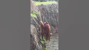 В ШОКЕ БУДУТ ВСЕ ЧАСТЬ 2 #shorts