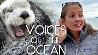 Sea Otter Sounds, Vocalizations, and MORE! A Marine Biologist Explains