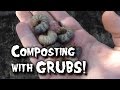 Composting with Worms/Grubs