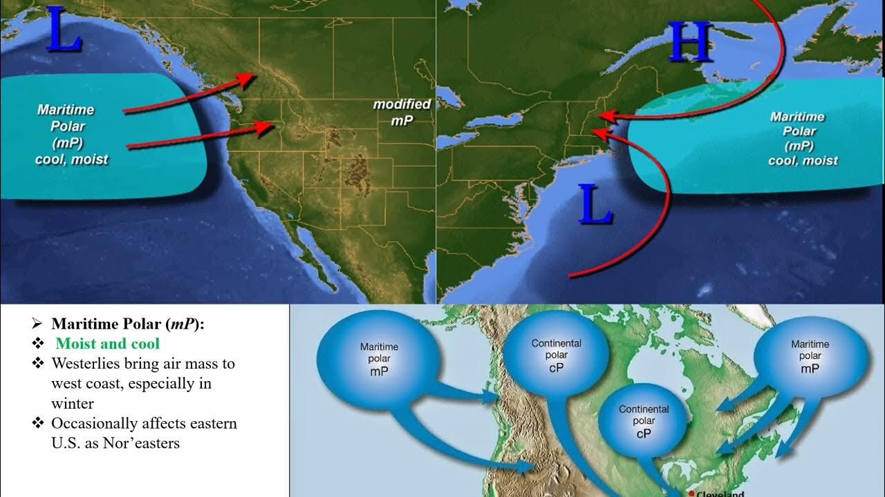 Maritime Polar mP YouTube