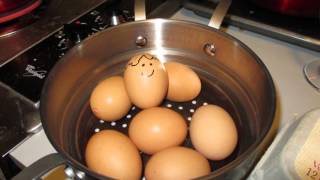Eggsperiment 2