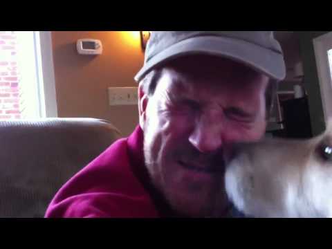Why do dogs lick human faces