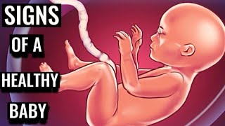 Signs of a healthy baby in the womb Pregnancy Babyinthewomb baby