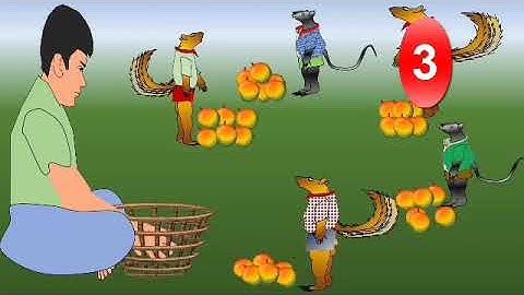 Class 4 Maths (week 24) Term 3 Unit 2 Numbers (Division)