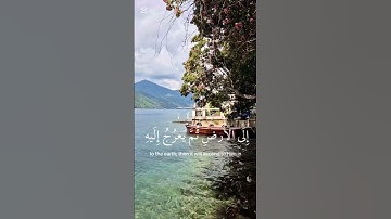 تلاوة خاشعة للقارئ ياسر الدوسري #قرآن #اكسبلور #الرحمن #تلاوة #لايك #المصحف #ستوريات #ياسر_الدوسري