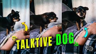 Dog Tries to Talk Like a Human