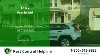 Top 3 Pest Control in Milford