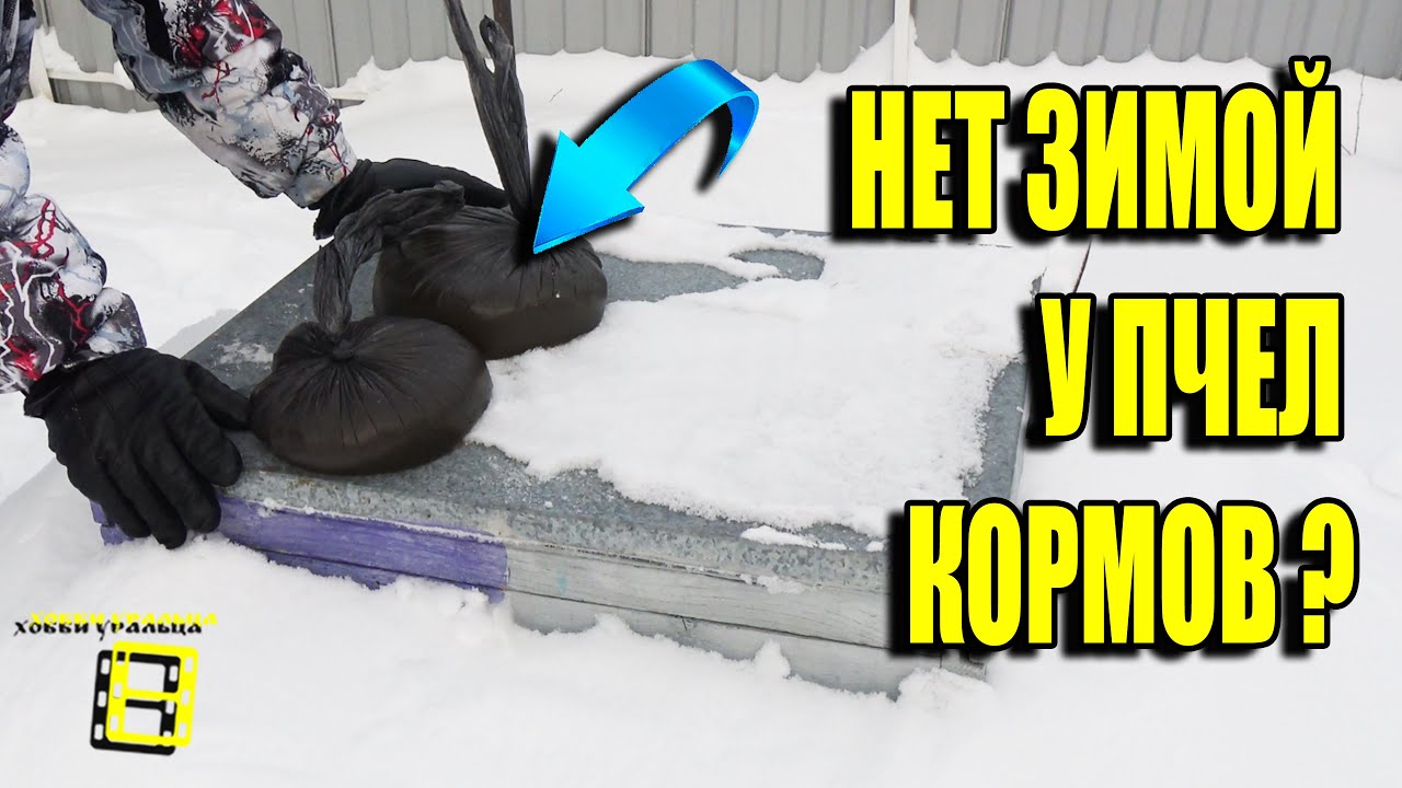 Преимущества сиропа в зимней подкормке пчел