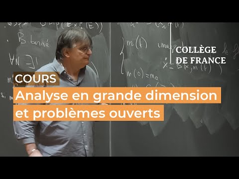 High-Dimensional Analysis and Open Problems (4) - Pierre-Louis Lions (2025-2026)