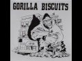 GORILLA BISCUITS - Reunion Tour 7 (2006)