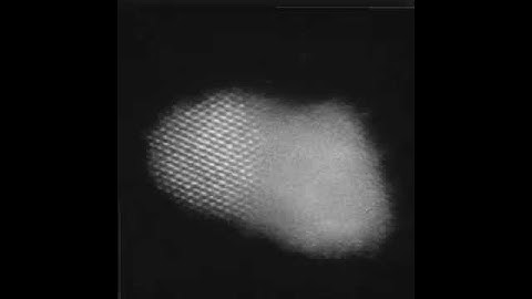 Platinum Nanoparticle ADF STEM Time-series