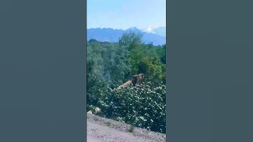 #شيخ #سورة_الحشر #foryou #virall #تلاوت_قرآن_پاک #virall #shortvideo