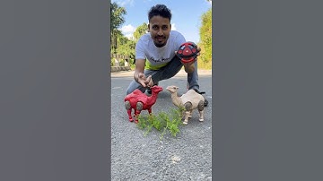 Remote Control 2 Ta Camel Unboxing 🐫🔥