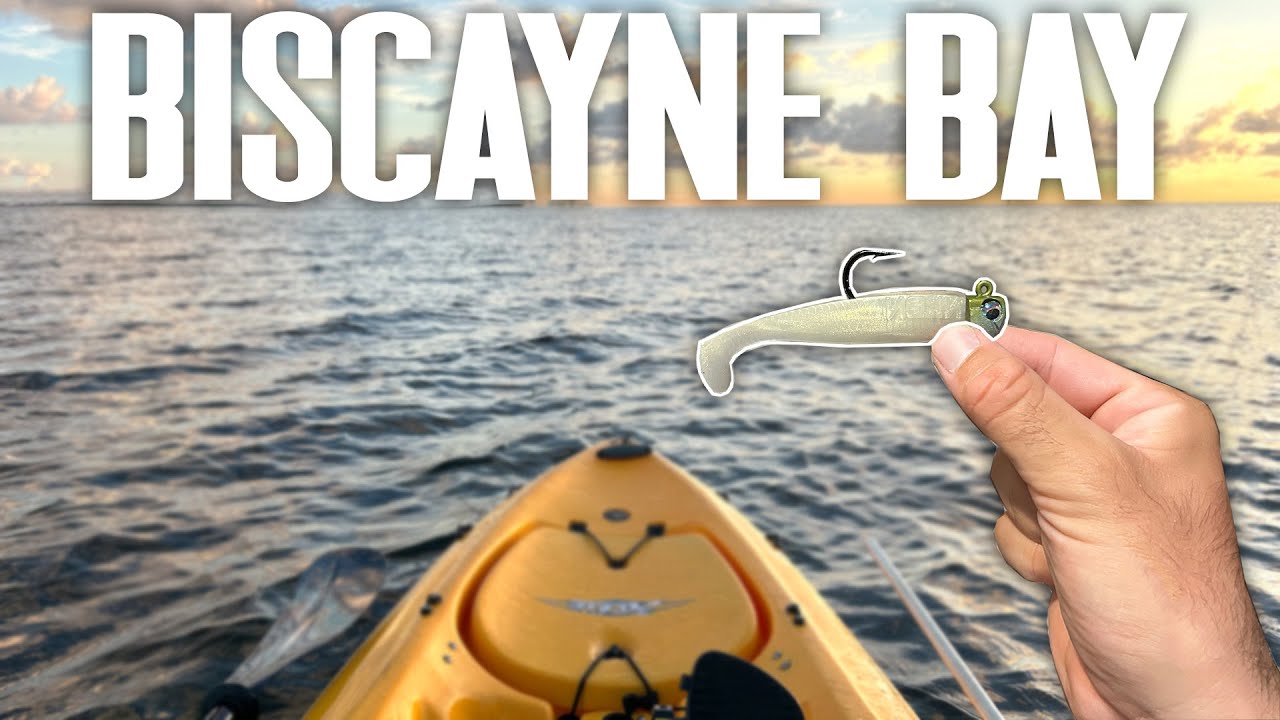 Fishing Biscayne Bay For Whatever Bites