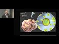 Prof. Hans C. Clevers "Wnt signalling in Stem Cells and Organogenesis" - KEIO Medical Science Prize