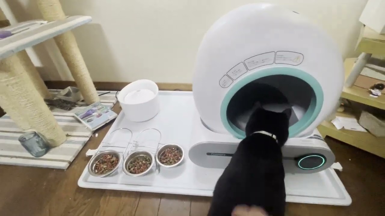 猫用自動トイレFamree製Smart Cat Litter Boxを買ってみました。 - YouTube