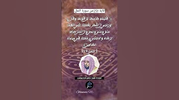 الآية (19)من سورة النمل... القارئ ماهر المعيقلي.