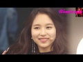 TWICE MINA ミナ 見ているだけで癒されるお方
