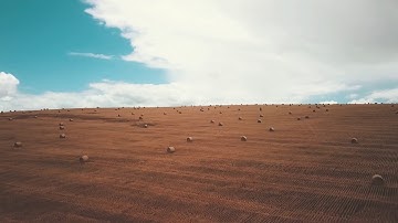 Drone view grassland