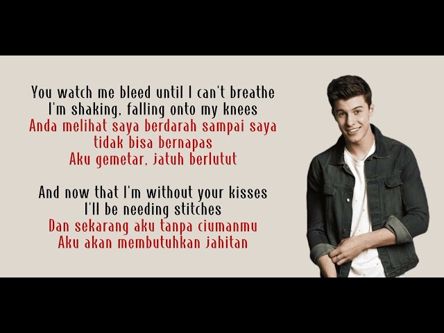 STITCHES - Shawn Mendes(Lirik Terjemahan) class=