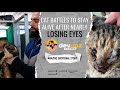 CAT BATTLES TO STAY ALIVE AFTER NEARLY LOSING EYES!! (Amazing emotional story)