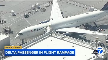 Man allegedly bit another passenger on plane landing at LAX