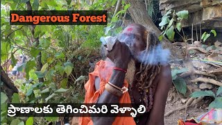 Saleshwaram Lingamaiah Temple || Dangerous trekking || Nallamala Forest by Ulta gang 40,909 views 2 years ago 2 minutes, 38 seconds