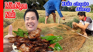 Ra đồng bắt chuột về làm Chuột chiên nước mắm Ăn hết nồi cơm - Một Góc Miền Tây vlogs