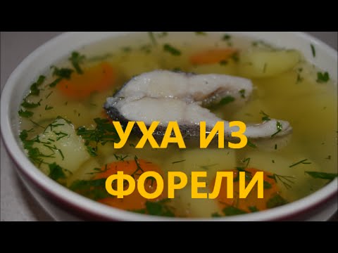 Видео рецепт Суп из форели