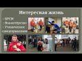 ДЕНЬ ОТКРЫТЫХ ДВЕРЕЙ ОНЛАЙН