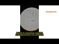 Recensione del SWIFT SW380T Microscopio 40X-2500X, Microscopio da Laboratorio Composto Trinoculare p