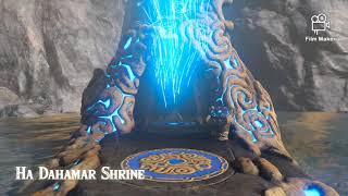 TWILIGHT RELIC Legend of Zelda Breath of the Wild