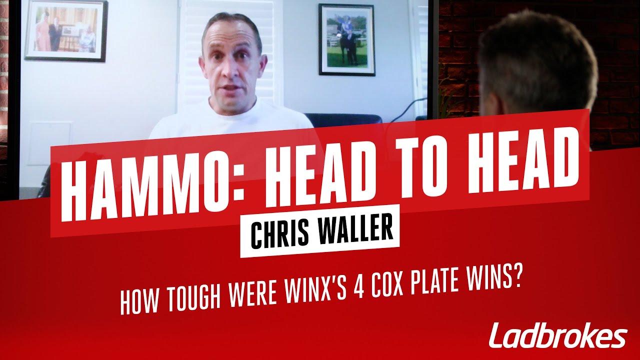 Hammo: Head To Head With Australia's Leading Trainer Chris Waller