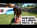 МОЙ ДЕНЬ ЗА 5 МИНУТ/MY DAY IN 5 MINUTES (ЧАСТЬ 14)