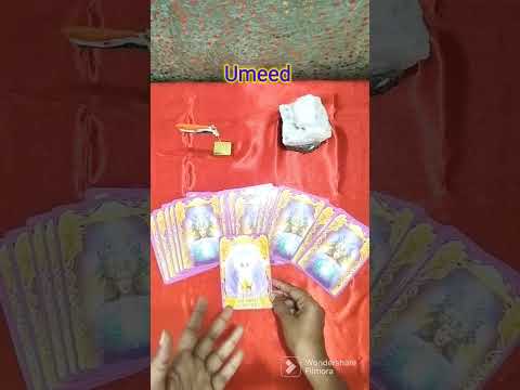 #umeed #oracle #tarot #tarotreading #trending #shorts #short #shortvideo #youtubeshorts #youtube 21