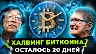 СКОРО САМЫЙ НЕПРЕДСКАЗУЕМЫЙ ХАЛВИНГ БИТКОИНА! ВОТ ЧТО ТЫ ДОЛЖЕН ЗНАТЬ!