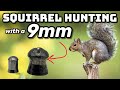 Is a 9mm too much for squirrels