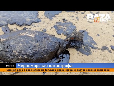 Экологическая катастрофа на