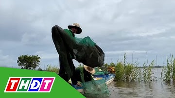 Ngư dân vùng đầu nguồn hy vọng một mùa lũ đẹp | THDT