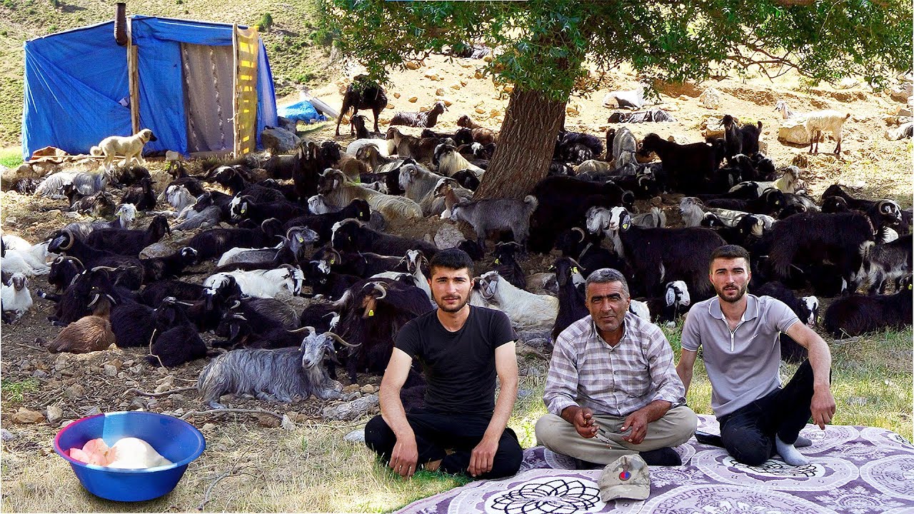 Семья, плато, жизнь: из природы | Семья АКГЮНЕШ | 4K |