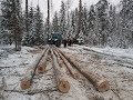 Завершение заготовки дров в делянке на тракторах ЛТЗ Т-40АМ и МТЗ-82.