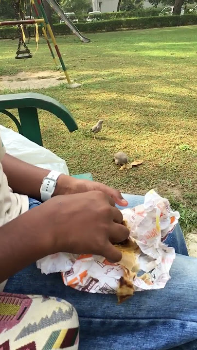 Hallelujah #holyspirittv #masih